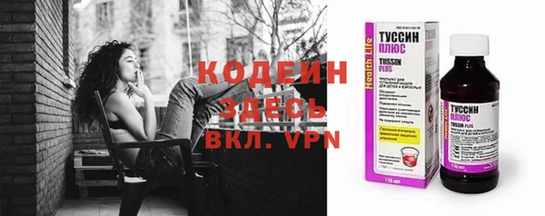 молекула духа Каменка
