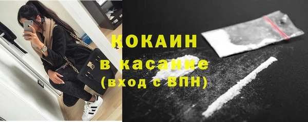 соль ск Каменногорск