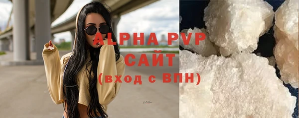 молекула духа Каменка
