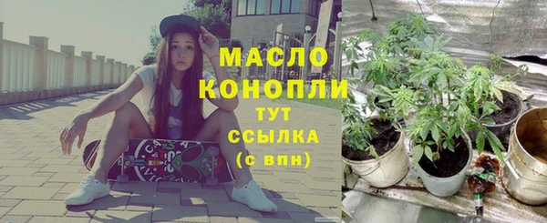 молекула духа Каменка