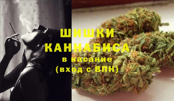 соль ск Каменногорск