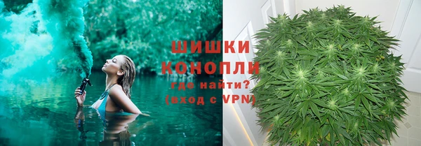 молекула духа Каменка