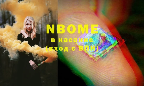 соль ск Каменногорск