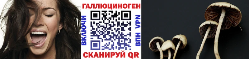 Купить закладки  Новая Ляля  Галлюциногенные грибы прущие грибы 